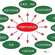 揚(yáng)州有實(shí)力的打干細(xì)胞針多少錢一支哪家價格實(shí)惠