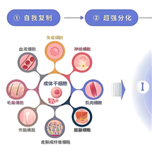 鄂州性价比高的打一针干细胞多少钱新报价