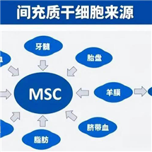 绵阳规模大的打一针干细胞能管几年生产厂家