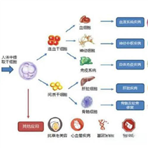 宣城優(yōu)惠的干細胞價格表哪里靠譜