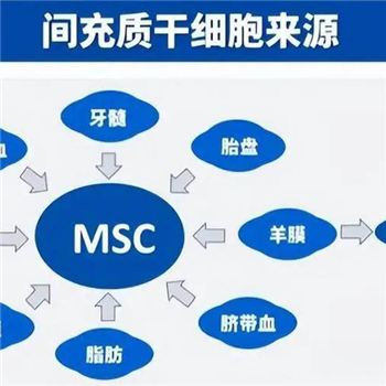 紹興口碑好的注射干細胞的作用和功效廠商電話多少