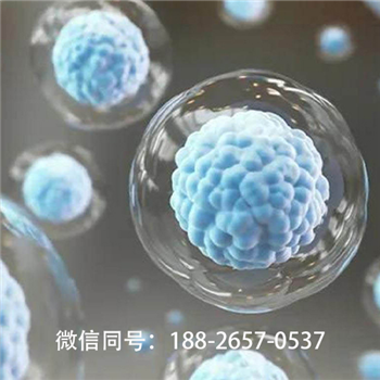 长沙正规的msc干细胞费用多少