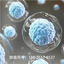 銀南靠譜的msc干細(xì)胞費(fèi)用低