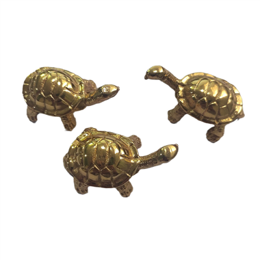 P00204Turtle Drawer knobs Beach Ocean Theme Home Decor Drawer Pulls Handles for Dresser Cupboard War