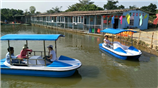 心湖生态园脚踏船