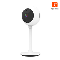 Mini Home Camera